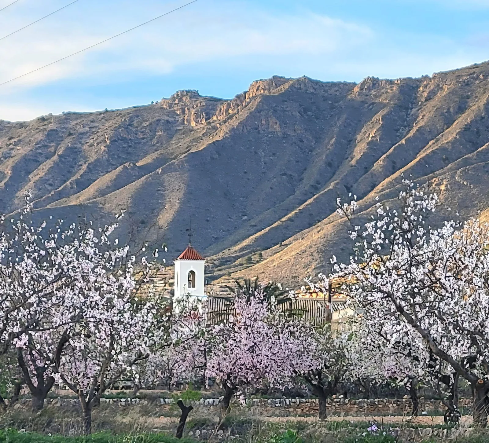 La vallée du Hondón sous les amandiers en fleurs, le décor du restaurant Mesón El Retiro